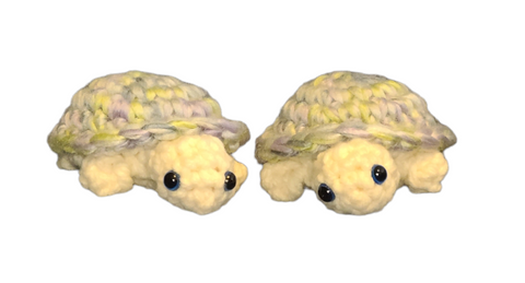 TINY TURTLES - TWINS